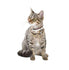 products/bobby-pets-bobby-dots-cat-collar-beige-17472784007330.jpg
