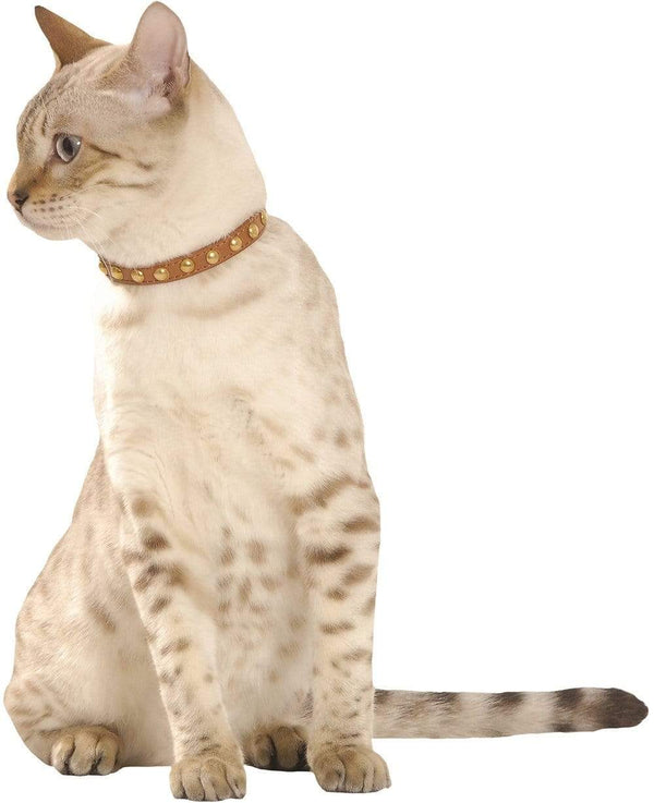 Little Fancy Cat Collar - Camel - Bobby - PetStore.ae