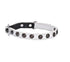 products/bobby-pets-bobby-little-white-color-17362039505058.jpg
