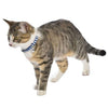 Marina Cat Collar With Bell - Blue - Bobby - PetStore.ae