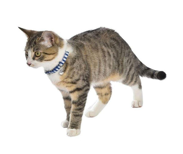 Marina Cat Collar With Bell - Blue - Bobby - PetStore.ae