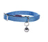 products/bobby-pets-bobby-safe-blue-color-17372846194850.jpg