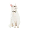 Zigzag Cat Collar - Black - Bobby - PetStore.ae