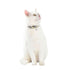 products/bobby-pets-bobby-zigzag-cat-collar-black-17472890208418.jpg