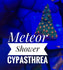 products/bpk-farm-live-stock-meteor-shower-cyphastrea-28730885996706.jpg