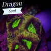 Dragon Soul Favia - PetStore.ae
