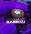 products/bpk-live-stock-gold-blastomussa-australian-coral-frags-17572124721314.jpg