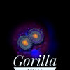 Gorilla Nipple Zoanthids - PetStore.ae