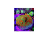 products/bpk-live-stock-reverse-sunset-montipora-17572734304418.png