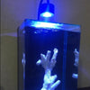 Coral Box AS-80 Marine Refugium LED Aquarium Light - PetStore.ae