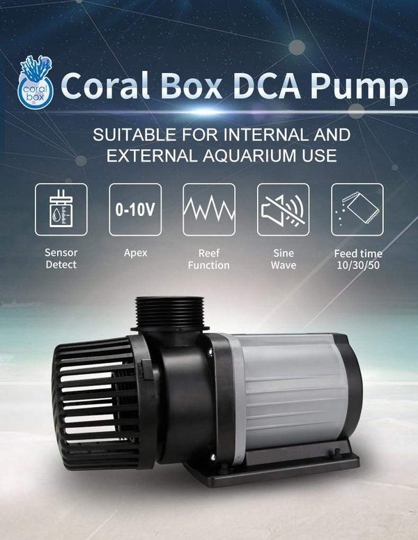 Coral Box - DCA 4000 Return Pump - PetStore.ae