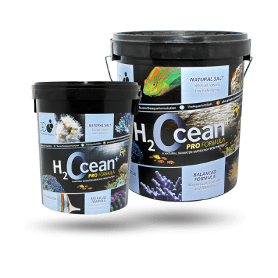 H2Ocean Natural Reef Salt - D&D - PetStore.ae