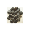 Black Yuhua Stones - Dymax - PetStore.ae