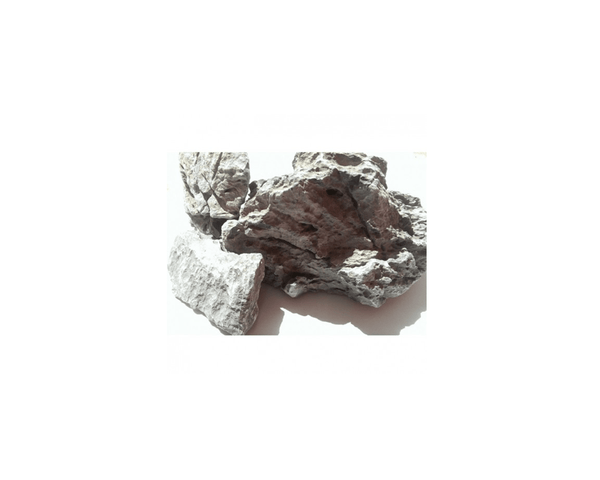 Green Dragon Rock - Dymax (per kg) - PetStore.ae