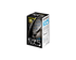 Zon Light NX5 LED Light - Dymax - PetStore.ae