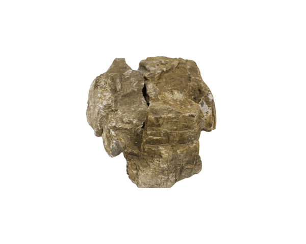 Wooden Grain Rocks - Dymax - PetStore.ae