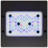 Radion XR15 Blue LED Light Fixture - EcoTech Marine - PetStore.ae