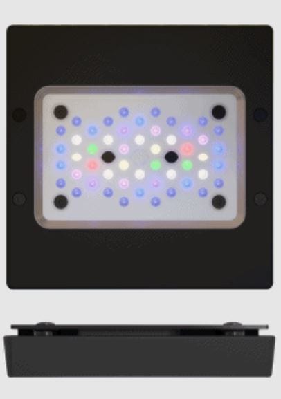 Radion XR15 Pro LED Light Fixture - Ecotech Marine - PetStore.ae