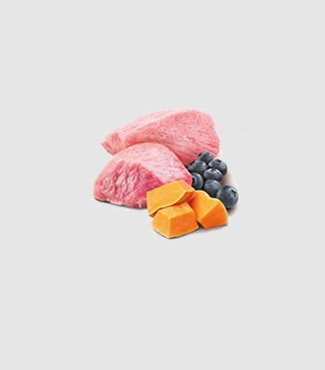 N&D Lamb, Pumpkin Blueberry Starter Dog Food - Main Image