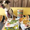 Farmina - N&D Dog Venison & Pumpkin Wet Food - PetStore.ae