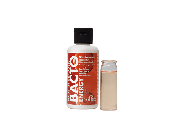 Fauna Marin - Bacto Energy - Specialized Food Source for Nutrient Reducing Bacteria - PetStore.ae