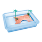 Georplast Tortuga Max Turtle Tray