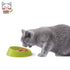 products/georplast-pet-supplies-pet-bowl-georplast-vibrissa-bowl-small-29793842888866.jpg