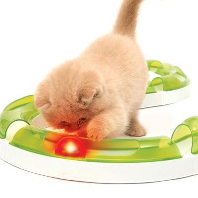 Catit Senses 2.0 Fireball Cat Toy - Hagen - PetStore.ae