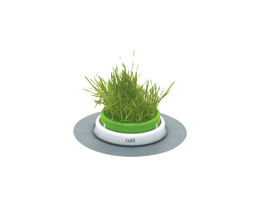 Catit senses sales grass garden kit