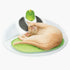 products/hagen-pets-catit-senses-2-0-wellness-center-cat-grooming-tool-hagen-18917222842530.jpg