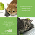 products/hagen-pets-catit-senses-2-0-wellness-center-cat-grooming-tool-hagen-18917222908066.jpg