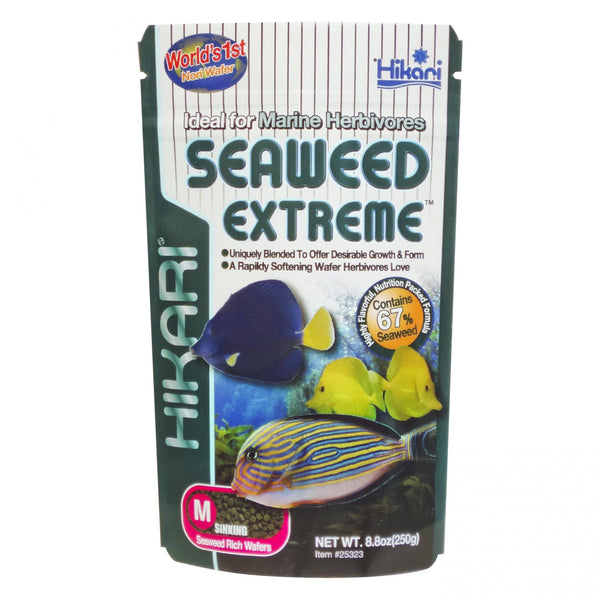 Hikari - Marine seaweed ex medium wafer - PetStore.ae