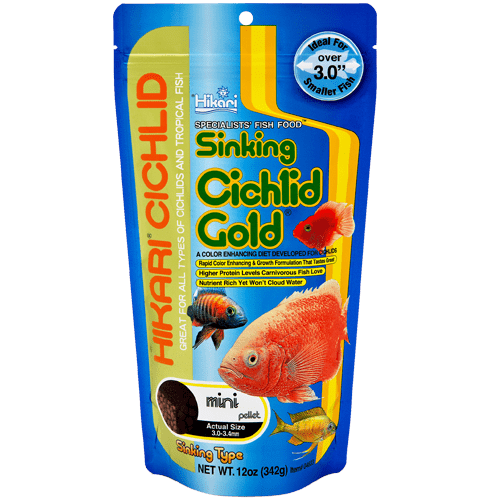 Cichlid Gold Sinking Mini Pellet- Hikari - PetStore.ae