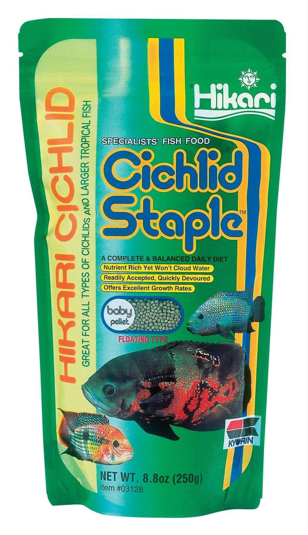 Cichlid Staple Pellet Fish Food - Hikari - PetStore.ae