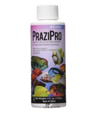 PraziPro Aquarium Solutions - Hikari - PetStore.ae
