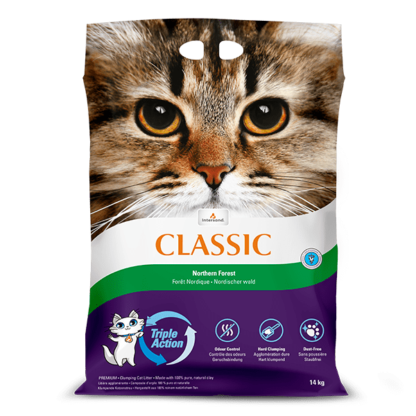 Classic Northern Forest Cat Litter - Intersand - PetStore.ae
