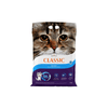 Classic Unscented Cat Litter - Intersand - PetStore.ae