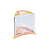 Stylish Tank Display Case - Fish Tank - Ista - PetStore.ae