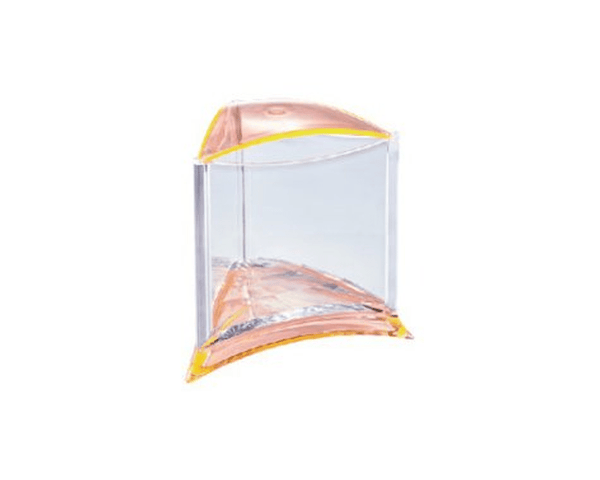 Stylish Tank Display Case - Fish Tank - Ista - PetStore.ae