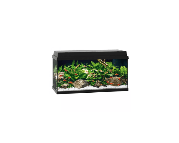 Primo 110 LED Aquarium (81 x 36 x 45 cm) - Juwel Aquarium - PetStore.ae