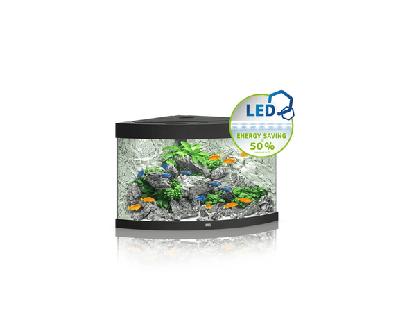 Trigon 190 LED Aquarium 98.5 x 70 x 60 cm) - Juwel Aquarium - PetStore.ae