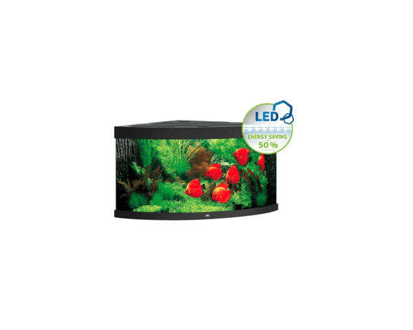 Trigon 350 LED Aquarium (123 x 87 x 65 cm) - Juwel Aquarium - PetStore.ae