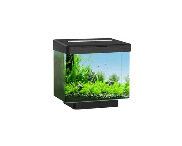 Vio 40 LED Aquarium (40 x 26 x 35 + Socket 5 cm) - Juwel Aquarium - PetStore.ae