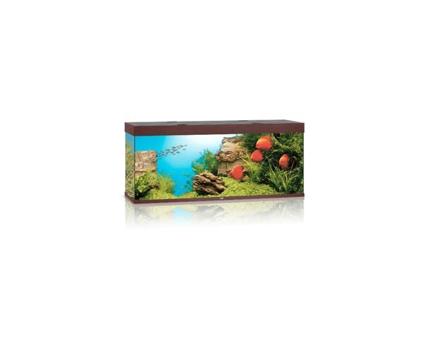 Rio 400 Aquarium (150L x 50W x 62H cm) - Juwel Aquarium - PetStore.ae