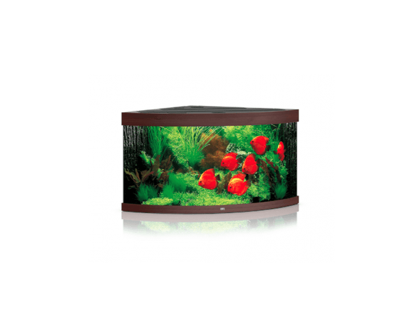 Trigon 350 Aquarium (123L x 87W x 65H cm) - Juwel Aquarium - PetStore.ae