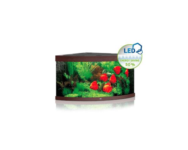 Trigon 350 LED Aquarium (123 x 87 x 65 cm) - Juwel Aquarium - PetStore.ae