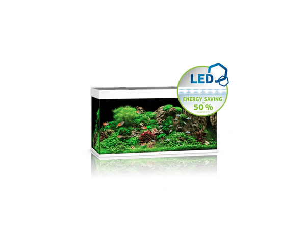 Rio 350 LED Aquarium (121 x 51 x 66 cm) - Juwel Aquarium - PetStore.ae