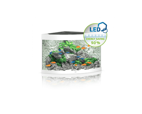 Trigon 190 LED Aquarium 98.5 x 70 x 60 cm) - Juwel Aquarium - PetStore.ae
