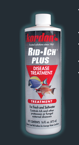 Kordon - Rid Ich Plus® 473ml - PetStore.ae