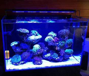 Glisten 200 - LED Aquarium Lighting - Lumini Aqua System - PetStore.ae